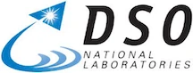 DSO_Logo